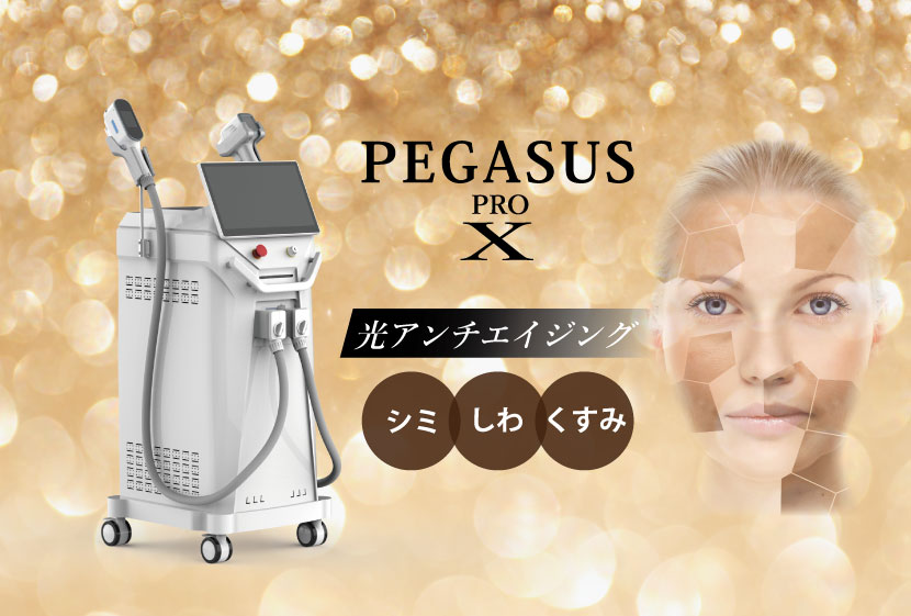 ペガサスプロX