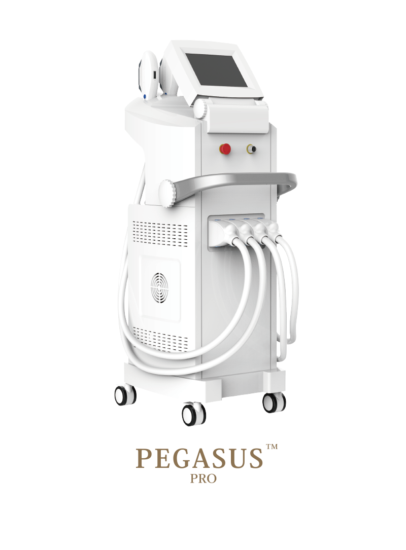 業務用脱毛機　Pegasus Pro