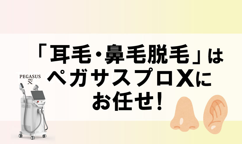 ペガサスプロXで耳毛・鼻毛脱毛
